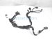 Sold 2022 Honda Accord Transmission Wire Harness 1.5l A/t 28150 6M6 000 Replacement Sold 2022 Honda Accord Transmission Wire Harness 1.5l A/t 28150 6M6 000 Replacement thumbnail