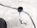 Sold 2012 Acura MDX Ac Hose Line A/c Receiver Pipe 80342 STX A52 Replacement Sold 2012 Acura MDX Ac Hose Line A/c Receiver Pipe 80342 STX A52 Replacement thumbnail