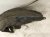 Sold 2021 Toyota Rav 4 Rear Driver Inner Fender Liner 65638 0R020 Replacement Sold 2021 Toyota Rav 4 Rear Driver Inner Fender Liner 65638 0R020 Replacement thumbnail