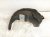 Sold 2021 Toyota Rav 4 Rear Driver Inner Fender Liner 65638 0R020 Replacement Sold 2021 Toyota Rav 4 Rear Driver Inner Fender Liner 65638 0R020 Replacement thumbnail
