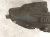 Sold 2021 Nissan Sentra Rear Passenger Inner Fender Liner 76748 6LB0A Replacement Sold 2021 Nissan Sentra Rear Passenger Inner Fender Liner 76748 6LB0A Replacement thumbnail