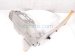 Sold 2023 Lexus Is500 Driver Radiator Core Support Extension 53203 53910 Replacement Sold 2023 Lexus Is500 Driver Radiator Core Support Extension 53203 53910 Replacement thumbnail
