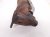 Sold 2014 Honda Accord Exhaust Manifold 2.4l 18190 5A3 L00 Replacement Sold 2014 Honda Accord Exhaust Manifold 2.4l 18190 5A3 L00 Replacement thumbnail