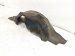 Sold 2019 Toyota Camry Rear Passenger Inner Fender Liner 65637 06250 Replacement Sold 2019 Toyota Camry Rear Passenger Inner Fender Liner 65637 06250 Replacement thumbnail