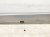 Sold 2018 Honda FIT Rocker Trim Passenger Side Skirt / Molding Silver * 71800 T5R A00ZD Replacement Sold 2018 Honda FIT Rocker Trim Passenger Side Skirt / Molding Silver * 71800 T5R A00ZD Replacement thumbnail