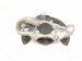 2024 Chevy Corvette Front Passenger Spindle Knuckle Hub 84612178 Replacement 2024 Chevy Corvette Front Passenger Spindle Knuckle Hub 84612178 Replacement thumbnail