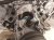 2024 Chevy Corvette Long Block Engine / Motor = Mi 19433035 Replacement 2024 Chevy Corvette Long Block Engine / Motor = Mi 19433035 Replacement thumbnail