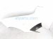 2024 Chevy Corvette Passenger Quarter Panel White 87861823 Replacement 2024 Chevy Corvette Passenger Quarter Panel White 87861823 Replacement thumbnail