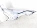 2024 Chevy Corvette Passenger Quarter Panel White 87861823 Replacement 2024 Chevy Corvette Passenger Quarter Panel White 87861823 Replacement thumbnail