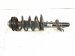 2023 Jeep Cherokee Front Driver Strut Absorber + Spring 68372912AB Replacement 2023 Jeep Cherokee Front Driver Strut Absorber + Spring 68372912AB Replacement thumbnail