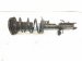 2023 Ford Escape Front Driver Strut Absorber + Spring LX61 18K001 NAG Replacement 2023 Ford Escape Front Driver Strut Absorber + Spring LX61 18K001 NAG Replacement thumbnail