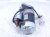 2021 Nissan Titan Starter Motor 23300 1CA0C Replacement 2021 Nissan Titan Starter Motor 23300 1CA0C Replacement thumbnail
