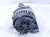 2021 Nissan Titan Alternator / Generator 23100 9FV0A Replacement 2021 Nissan Titan Alternator / Generator 23100 9FV0A Replacement thumbnail