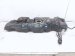 2017 Toyota Tundra Gas / Fuel Tank 77100 0C320 Replacement 2017 Toyota Tundra Gas / Fuel Tank 77100 0C320 Replacement thumbnail