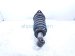 2016 Honda Pilot Rear Passenger Strut Absorber + Spring 52611 TG7 A01 Replacement 2016 Honda Pilot Rear Passenger Strut Absorber + Spring 52611 TG7 A01 Replacement thumbnail