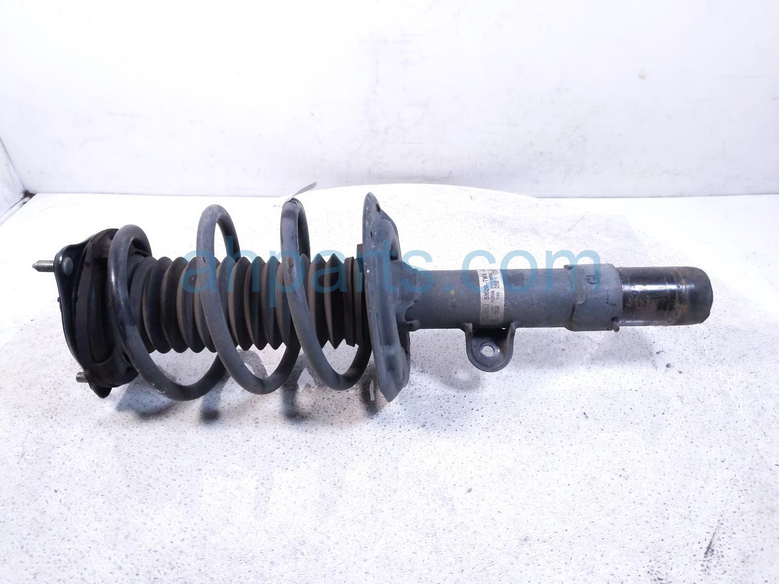 Honda FR/LH STRUT + SPRING - HYBRID