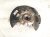 2022 Chevy Trailblazer Front Driver Spindle Knuckle Hub Fwd 42757358 Replacement 2022 Chevy Trailblazer Front Driver Spindle Knuckle Hub Fwd 42757358 Replacement thumbnail