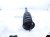 2014 Lexus Is 250 Front Passenger Strut Absorber + Spring 48510 80617 Replacement 2014 Lexus Is 250 Front Passenger Strut Absorber + Spring 48510 80617 Replacement thumbnail
