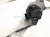 2024 Honda Accord And / Gear Box Power Steering Rack & Pinion 53620 30B D01 Replacement 2024 Honda Accord And / Gear Box Power Steering Rack & Pinion 53620 30B D01 Replacement thumbnail
