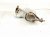2021 Nissan Rogue Integrated Catalytic Converter 2.5l B08A2 6RK3A Replacement 2021 Nissan Rogue Integrated Catalytic Converter 2.5l B08A2 6RK3A Replacement thumbnail
