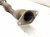 2014 Toyota Corolla Catalytic Exhaust Converter Pipe Le 1.8l 17410 0T551 Replacement 2014 Toyota Corolla Catalytic Exhaust Converter Pipe Le 1.8l 17410 0T551 Replacement thumbnail