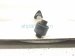 2015 Lexus Gs350 Strut / Spring / Rear Driver Shock Absorber F sport 48530 80756 Replacement 2015 Lexus Gs350 Strut / Spring / Rear Driver Shock Absorber F sport 48530 80756 Replacement thumbnail