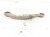 2015 Chrysler 300 Rear Passenger Rearward Upper Control Arm 68240574AB Replacement 2015 Chrysler 300 Rear Passenger Rearward Upper Control Arm 68240574AB Replacement thumbnail