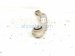 2015 Chrysler 300 Rear Passenger Rearward Upper Control Arm 68240574AB Replacement 2015 Chrysler 300 Rear Passenger Rearward Upper Control Arm 68240574AB Replacement thumbnail