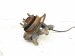 2015 Chrysler 300 Axle Stub Rear Passenger Spindle Knuckle Hub 68174020AD Replacement 2015 Chrysler 300 Axle Stub Rear Passenger Spindle Knuckle Hub 68174020AD Replacement thumbnail