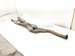 2016 Lexus Rc200t Catalytic Center Exhaust Pipe W/conv 2.0t Rwd 17410 36340 Replacement 2016 Lexus Rc200t Catalytic Center Exhaust Pipe W/conv 2.0t Rwd 17410 36340 Replacement thumbnail