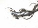 2015 Toyota Camry Main Engine Wire Harness 2.5l At 82121 06D60 Replacement 2015 Toyota Camry Main Engine Wire Harness 2.5l At 82121 06D60 Replacement thumbnail