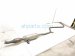 2012 Scion Tc Scion Catalytic Center Exhaust Pipe W/conv 2.5l 17420 36070 Replacement 2012 Scion Tc Scion Catalytic Center Exhaust Pipe W/conv 2.5l 17420 36070 Replacement thumbnail