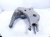 2020 Land Rover Range Rover Sport Rear Passenger Spring Seat Lower Control Arm JPLA 5B530 BA Replacement 2020 Land Rover Range Rover Sport Rear Passenger Spring Seat Lower Control Arm JPLA 5B530 BA Replacement thumbnail