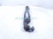 2020 Land Rover Range Rover Sport Front Driver Rearward Lower Control Arm JPLA 3C255 EB Replacement 2020 Land Rover Range Rover Sport Front Driver Rearward Lower Control Arm JPLA 3C255 EB Replacement thumbnail
