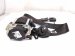 2020 Land Rover Range Rover Sport Front Passenger Seat Belt Black LR104688 Replacement 2020 Land Rover Range Rover Sport Front Passenger Seat Belt Black LR104688 Replacement thumbnail