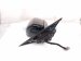 2020 Land Rover Range Rover Sport Rear Driver Side View Mirror Black LR105093 Replacement 2020 Land Rover Range Rover Sport Rear Driver Side View Mirror Black LR105093 Replacement thumbnail
