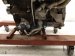 2019 Toyota Highlander Long Block Engine / Motor = 56k Mi 19000 0P531 Replacement 2019 Toyota Highlander Long Block Engine / Motor = 56k Mi 19000 0P531 Replacement thumbnail