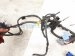 2015 Toyota Camry Engine Room Harness 2.5l At Fwd 82115 06L51 Replacement 2015 Toyota Camry Engine Room Harness 2.5l At Fwd 82115 06L51 Replacement thumbnail