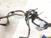 2015 Toyota Camry Engine Room Harness 2.5l At Fwd 82115 06L51 Replacement 2015 Toyota Camry Engine Room Harness 2.5l At Fwd 82115 06L51 Replacement thumbnail
