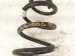 2023 Ford Escape Strut / / Shock Absorber Rear Passenger Coil Spring 1.5l Fwd LX61 5560 NAD Replacement 2023 Ford Escape Strut / / Shock Absorber Rear Passenger Coil Spring 1.5l Fwd LX61 5560 NAD Replacement thumbnail