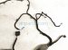 2021 Toyota Gr Supra Front Driver Door Wire Harness 82152 WAA02 Replacement 2021 Toyota Gr Supra Front Driver Door Wire Harness 82152 WAA02 Replacement thumbnail