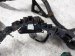 2016 Honda Pilot Main Engine Wire Harness 3.5l Awd 32410 TG7 A01 Replacement 2016 Honda Pilot Main Engine Wire Harness 3.5l Awd 32410 TG7 A01 Replacement thumbnail