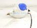 2021 Ford Ranger Windshield Washer Reservoir Tank KB3Z 17618 A Replacement 2021 Ford Ranger Windshield Washer Reservoir Tank KB3Z 17618 A Replacement thumbnail