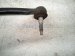 2021 Ford Ranger And / Gear Box Power Steering Rack & Pinion KB3C 3D070 CA Replacement 2021 Ford Ranger And / Gear Box Power Steering Rack & Pinion KB3C 3D070 CA Replacement thumbnail