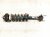 2021 Ford Ranger Front Passenger Strut Absorber + Spring KB3C 18045 AE Replacement 2021 Ford Ranger Front Passenger Strut Absorber + Spring KB3C 18045 AE Replacement thumbnail