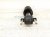 2021 Ford Ranger Front Passenger Strut Absorber + Spring KB3C 18045 AE Replacement 2021 Ford Ranger Front Passenger Strut Absorber + Spring KB3C 18045 AE Replacement thumbnail