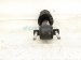 2021 Ford Ranger Front Passenger Strut Absorber + Spring KB3C 18045 AE Replacement 2021 Ford Ranger Front Passenger Strut Absorber + Spring KB3C 18045 AE Replacement thumbnail