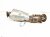 2021 Lexus Is300 Catalytic Converter 2.0t 25051 36050 Replacement 2021 Lexus Is300 Catalytic Converter 2.0t 25051 36050 Replacement thumbnail