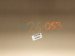 2001 Lexus Ls430 Hood Gold Dings 53301 50050 Replacement 2001 Lexus Ls430 Hood Gold Dings 53301 50050 Replacement thumbnail