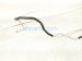 2007 Lexus Ls460 Ac Pipe A/c Line Hose W/service Port 88716 50530 Replacement 2007 Lexus Ls460 Ac Pipe A/c Line Hose W/service Port 88716 50530 Replacement thumbnail
